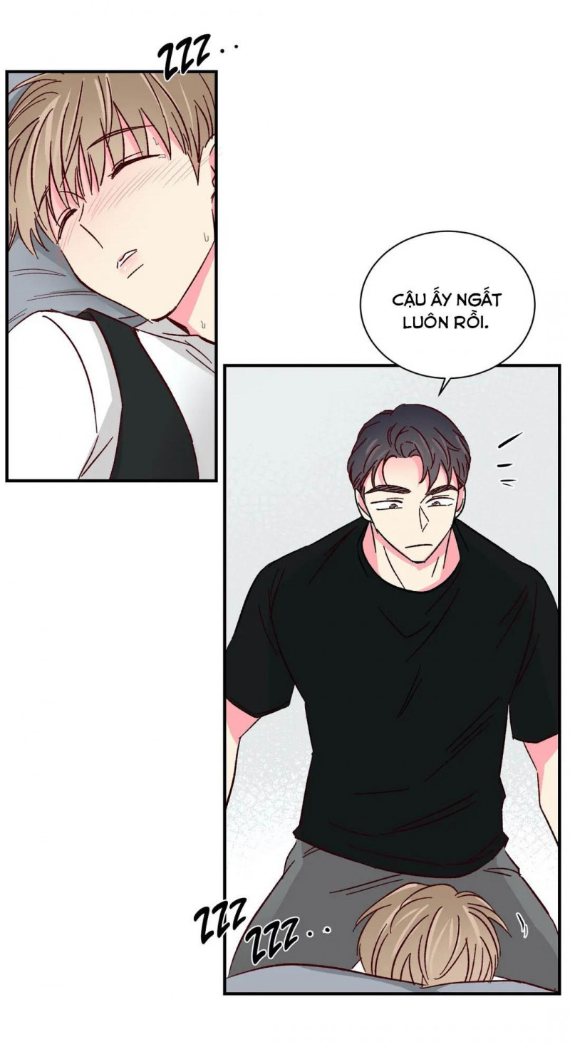 món tráng miệng của sếp tổng chapter 46 19