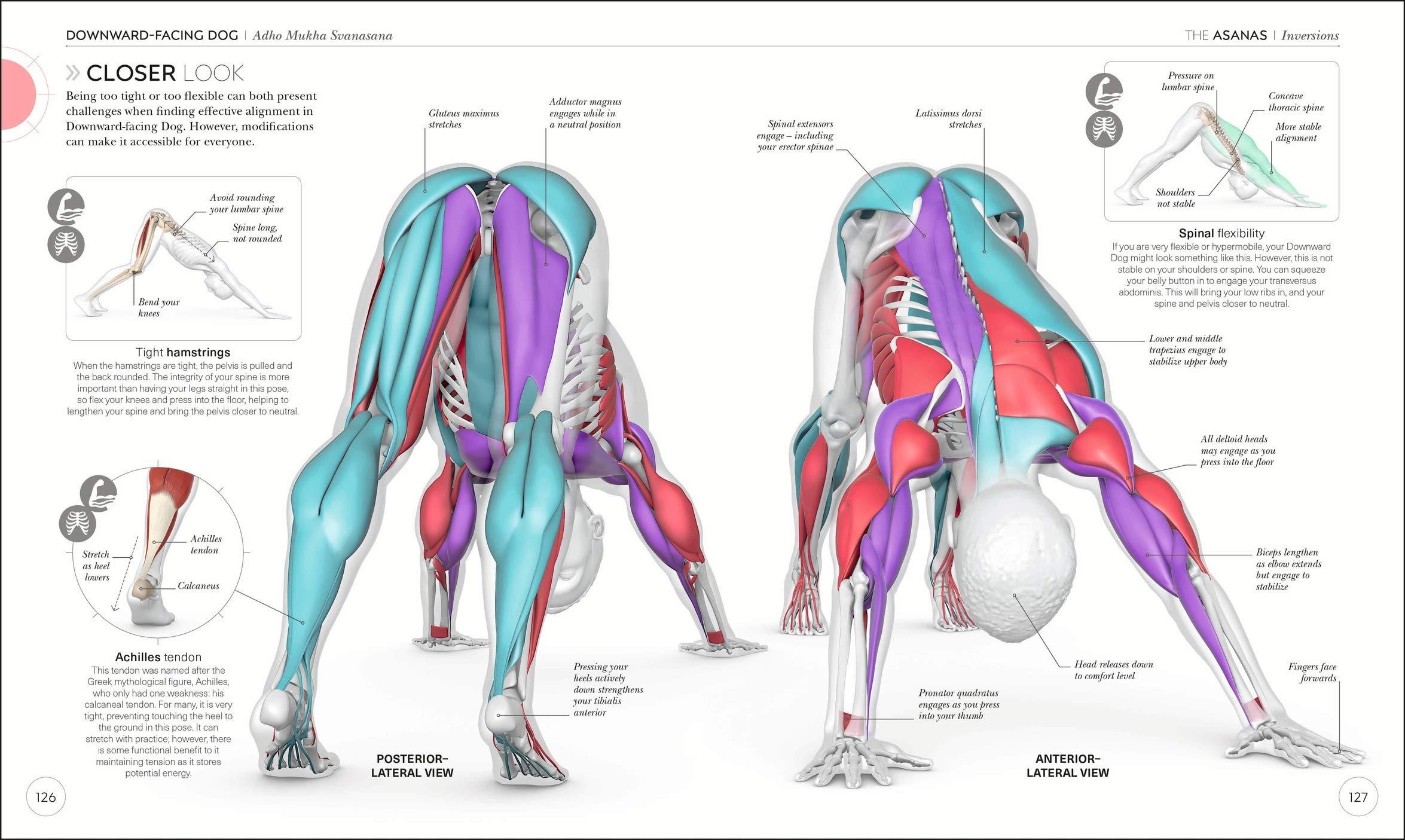 Science Of Yoga: Understand The Anatomy And Physiology To Perfect Your Practice