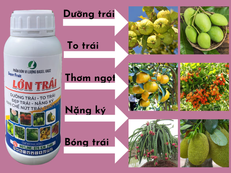 Phân bón chuyên dưỡng trái - SUPER FRUIT - Giúp trái chắc ngọt, sáng đẹp, bảo quản được lâu sau khi thu hoạch