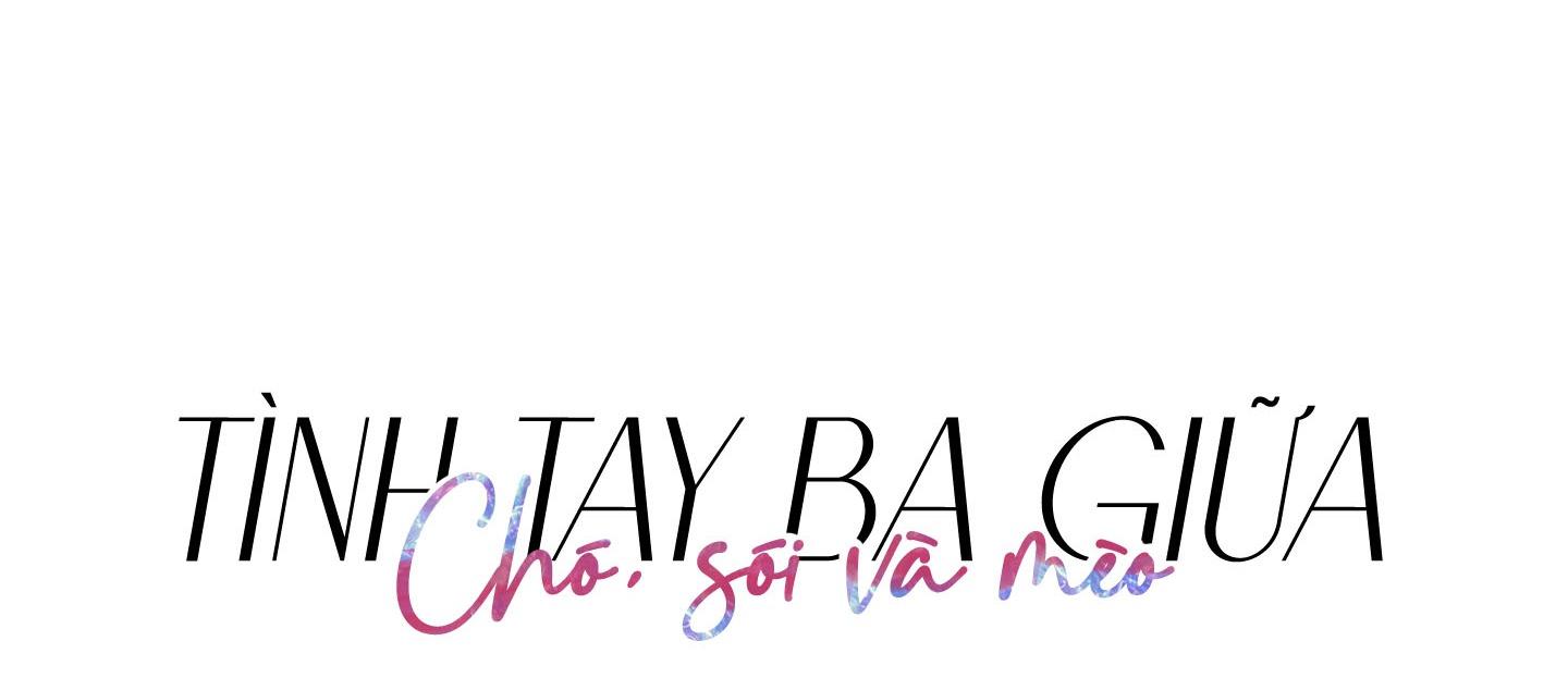 tình tay ba giữa chó, sói và mèo chapter 11 42