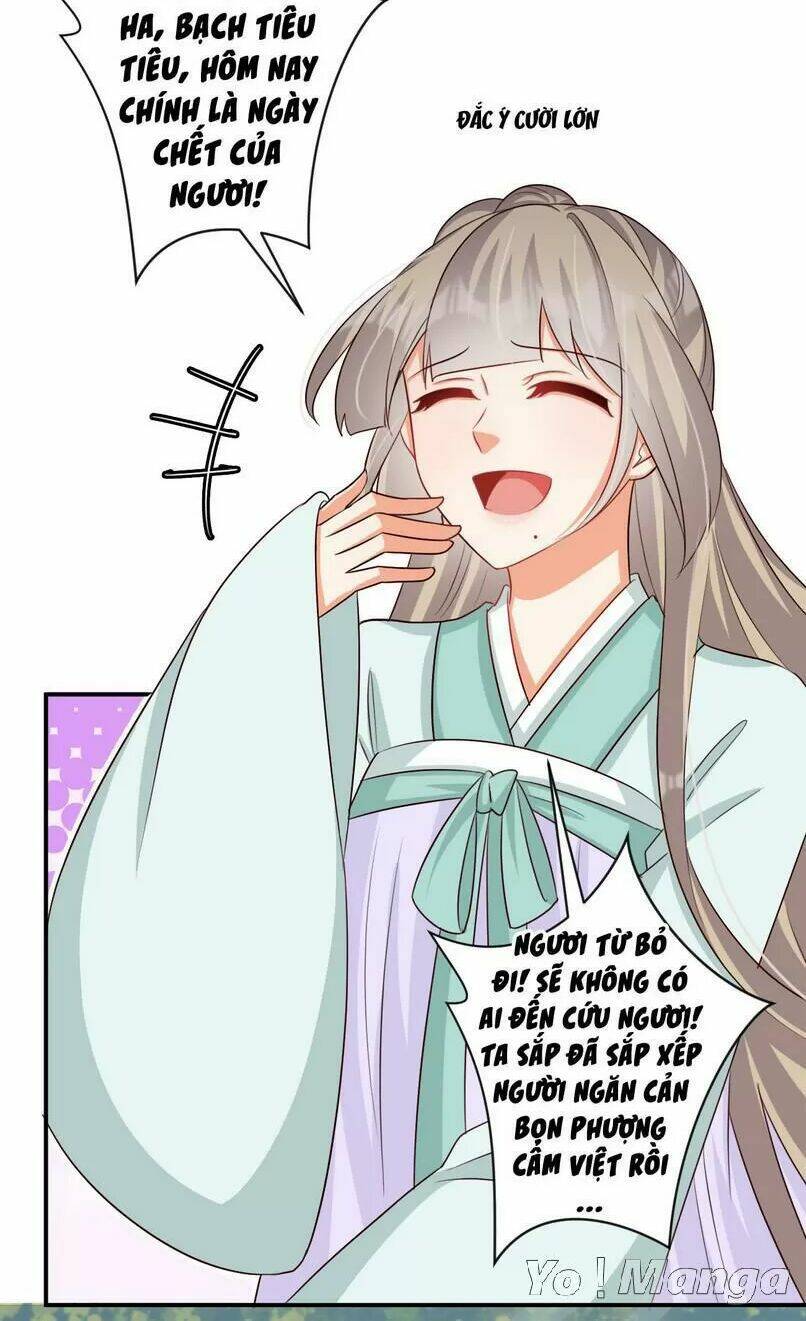 độc y cuồng phi chapter 50 19