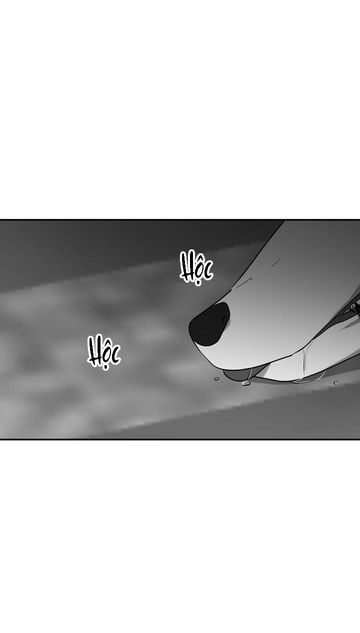 dưỡng thú cưng chapter 28 67