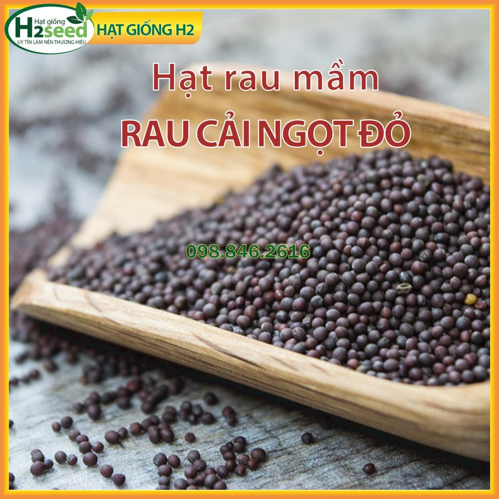 Gói 50g Hạt rau mầm rau cải ngọt đỏ - Hạt rau chất lượng cao, nảy mầm tốt