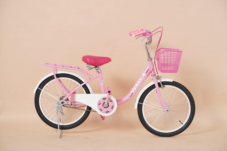 Xe đạp trẻ em Wiibike Wall.E Kid 20inch  2 bánh nữ