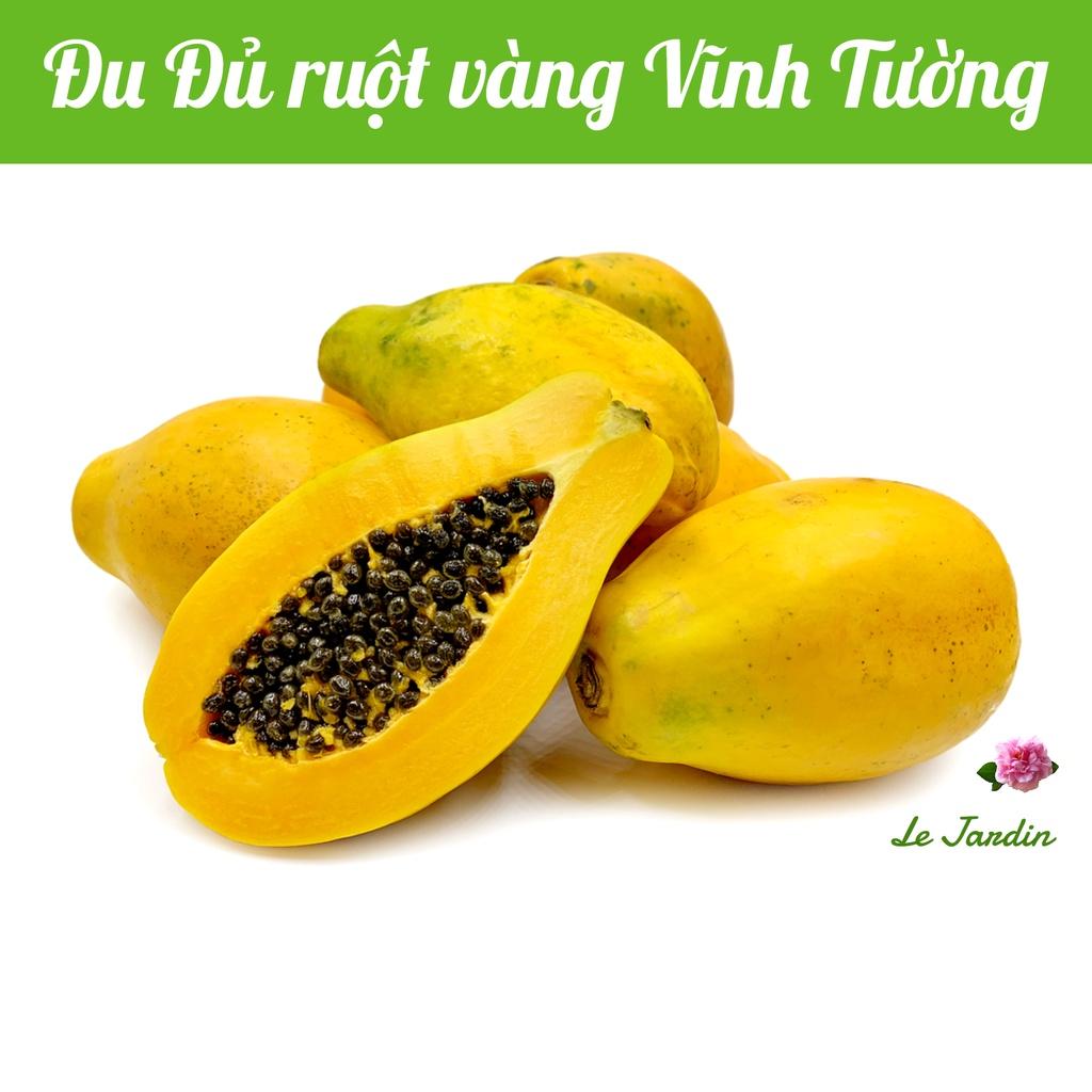 Hạt giống đu đủ ruột vàng Vĩnh Tường gói 5 hạt