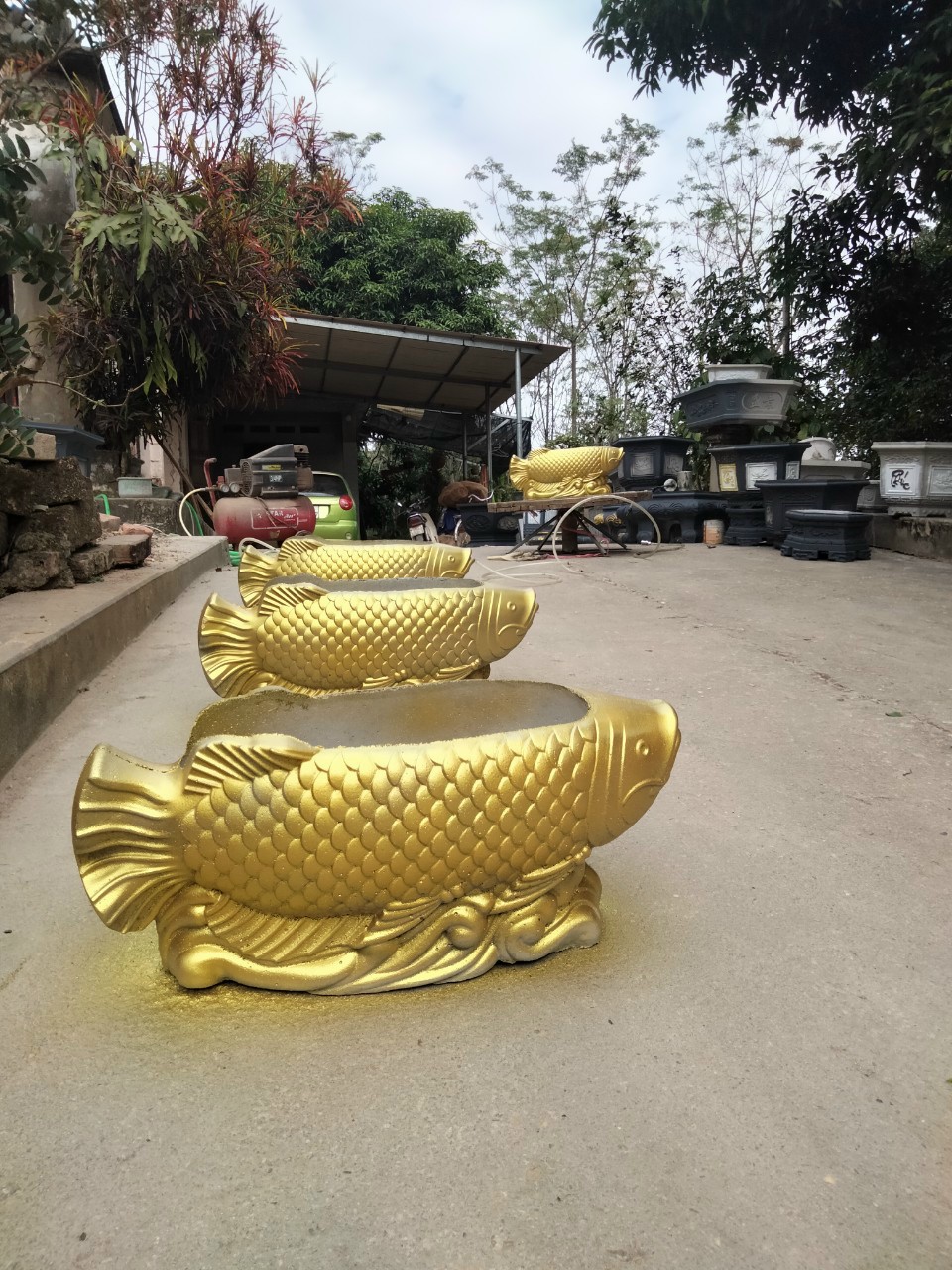 Khuôn con cá Trung Quốc