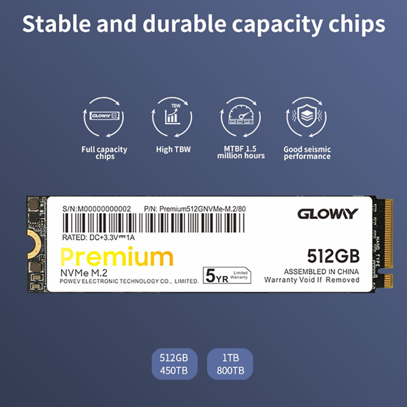 Gloway Premium Series SSD cho Laptop Cache M2 512GB 1TB Basic Disque Dur M.2 PCI-e SSD Ổ Cứng Gắn Trong Cho Máy Tính Xách Tay