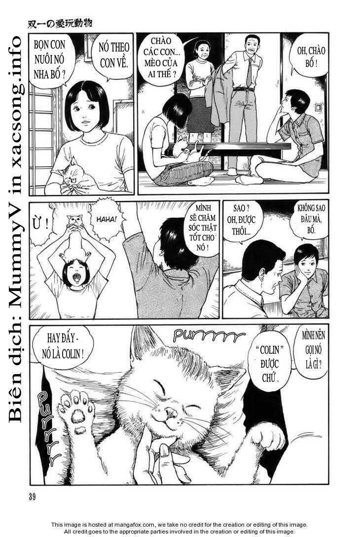 new voices in the dark chapter 2 3