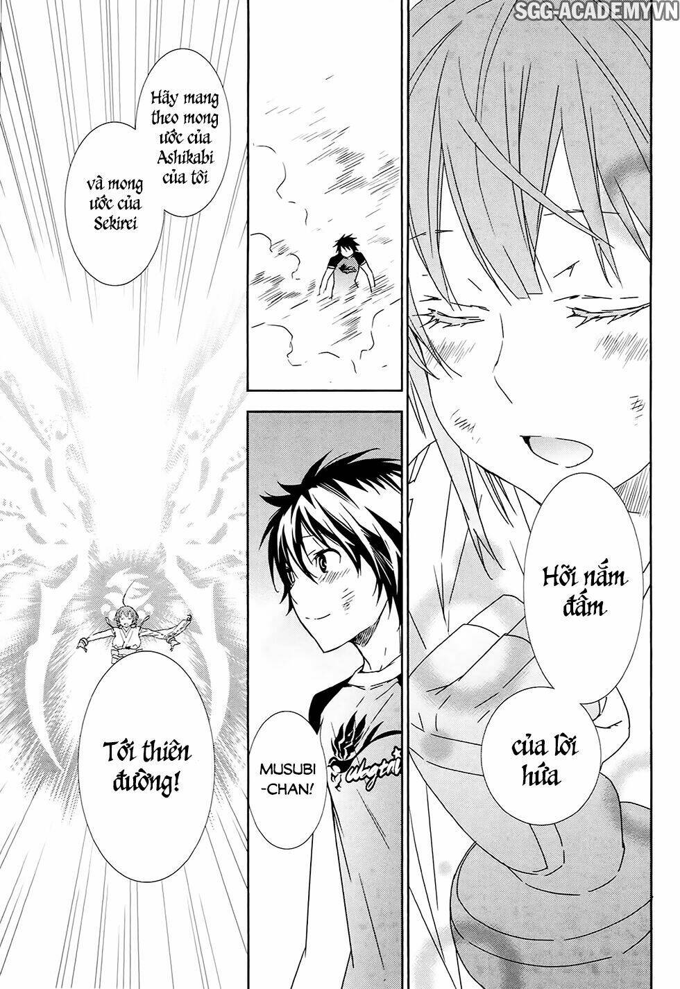 sekirei chapter 182 11