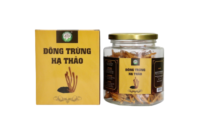 Đông Trùng Hạ Thảo Tiêu Chuẩn Nấm Ngon Việt Sấy Thăng Hoa - Hộp 20g