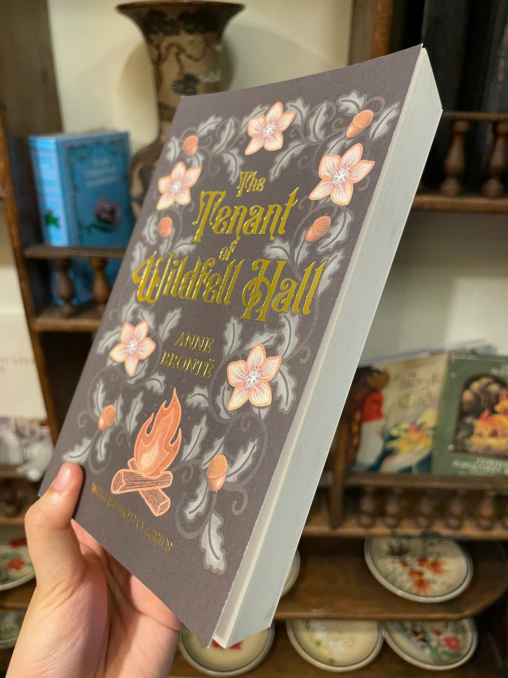 Sách - The Tenant of Wildfell Hall (Wordsworth Classics) by Anne Brontë | English Romance Book
