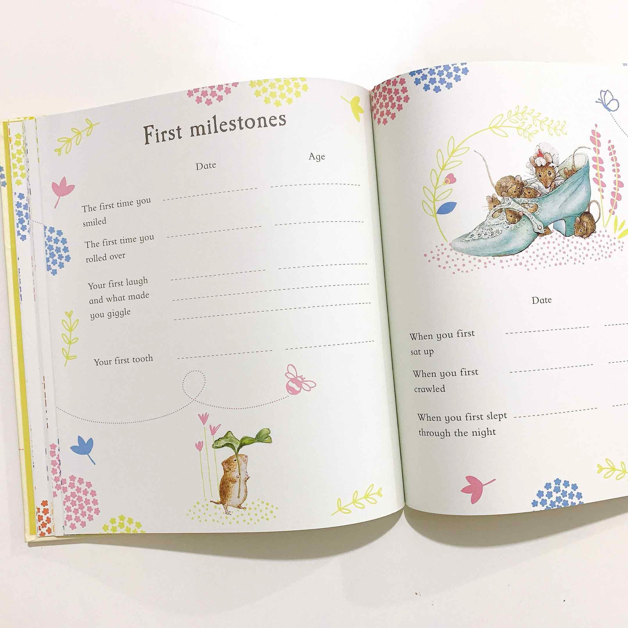 Peter Rabbit Baby Record Book