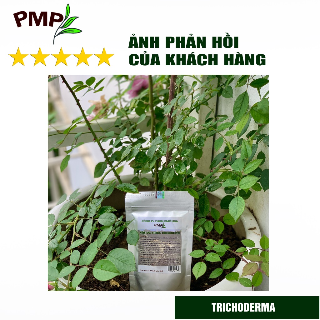 Nấm Trichoderma PMP Nấm Đối Kháng Phòng Thối Rễ, Ủ Phân Hữu Cơ Từ Rác Thải Hữu Cơ 100g