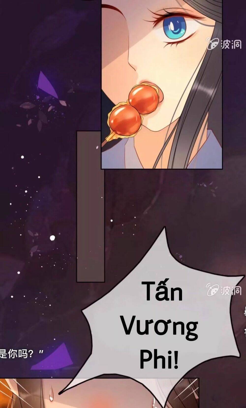 sủng phi của vương chapter 48 5