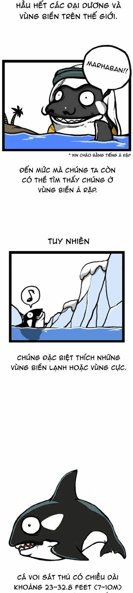 earth, human, and animal chapter 23 12