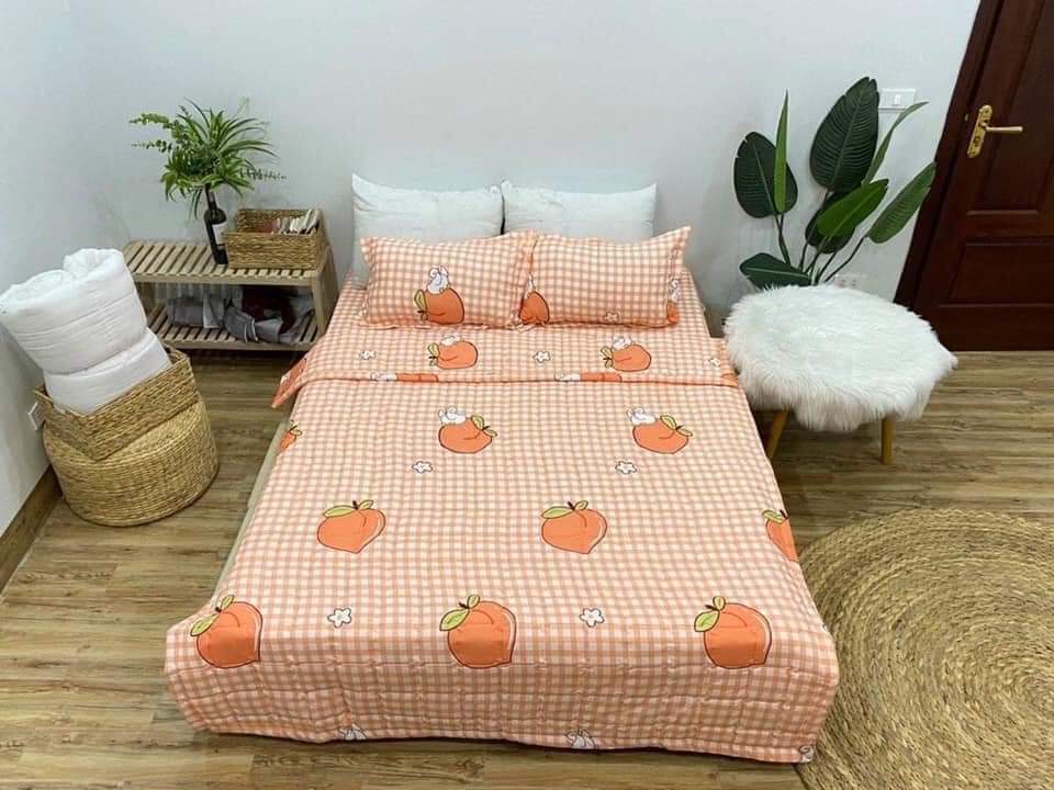 Bộ Chăn Ga Gối Cotton Hè Thu Giá Rẻ