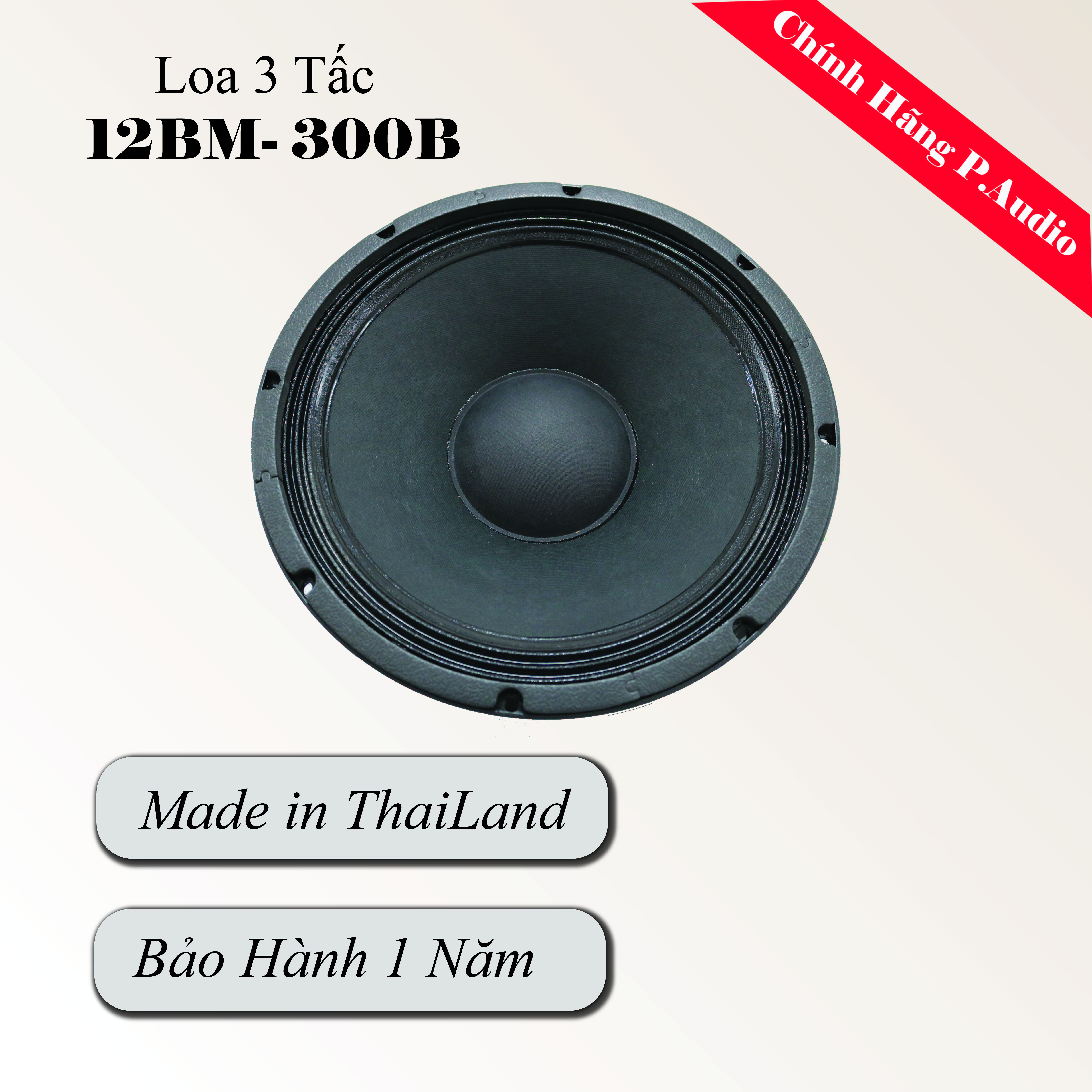 Loa Đơn P.Audio 12BM -300B Ba Tấc - Hàng Chính Hãng