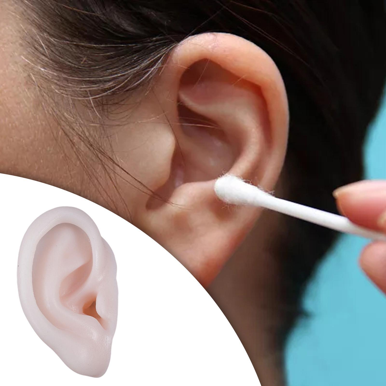 Ear Model, Soft Silicone, Props Teaching Tools Acupuncture Practice Model for Educational