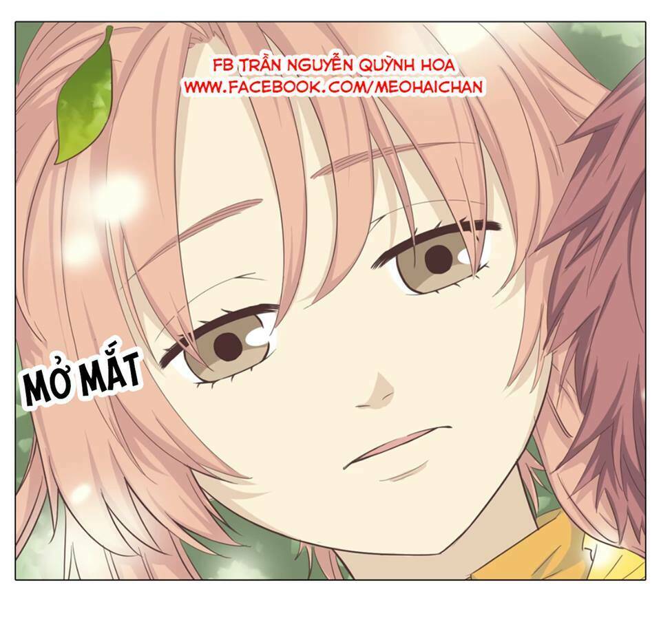 xin chào! dân nữ chapter 29 55