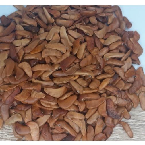 100 gram hạt giống cây giáng hương
