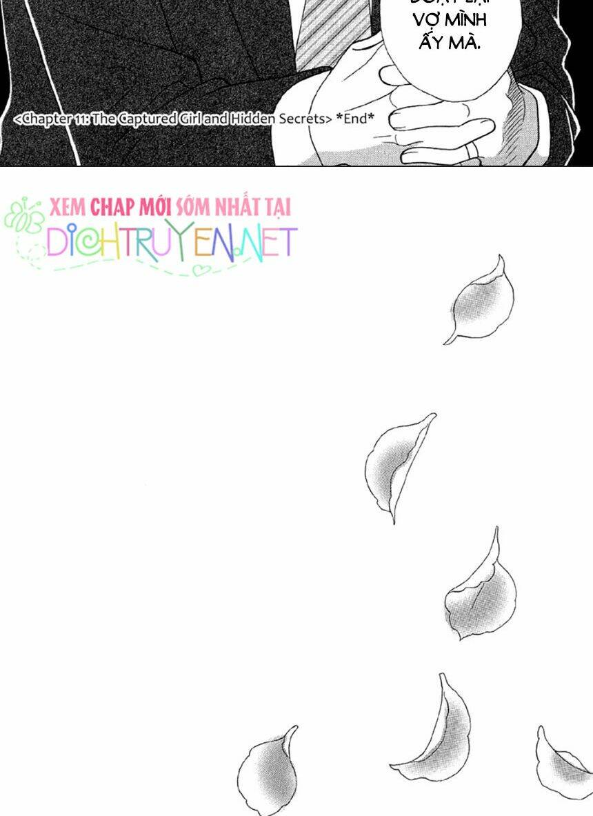 đóa hồng dành tặng seri chapter 11 38