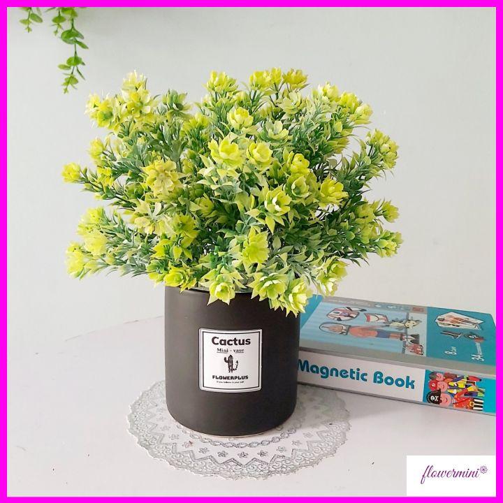 Chậu cây cảnh giả để bàn trang trí nhiều mẫu, cây vạn niên thanh decor nhà hàng xanh mát Flowermini CC-05