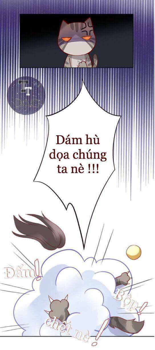 dưới móng vuốt mèo chapter 4 30
