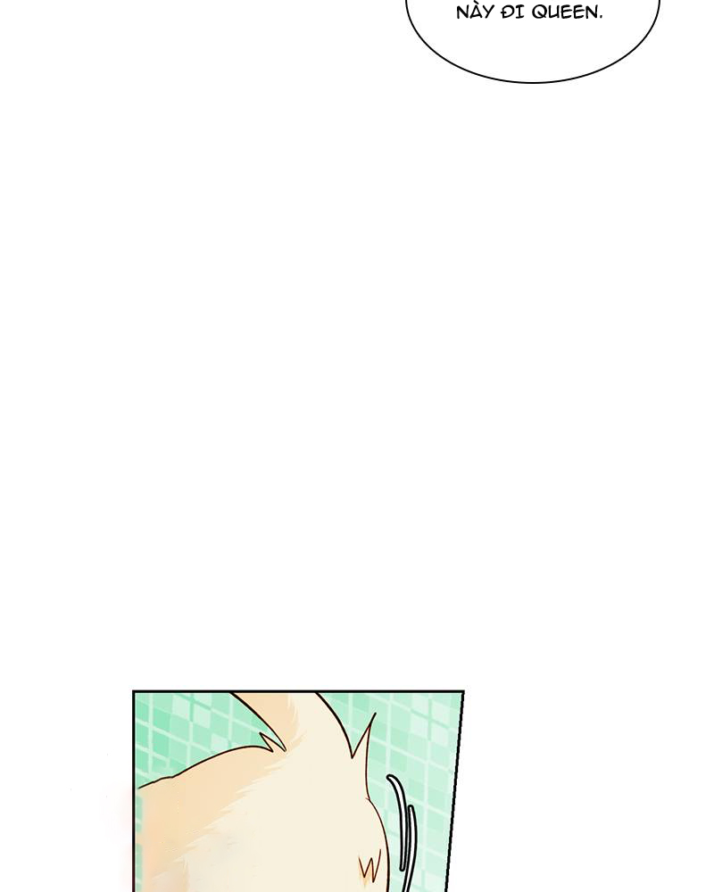 Hoàng Hậu Tái Hôn chapter 30.1 40