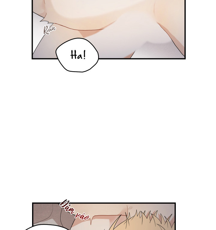 đường hoa liên kiều rơi chapter 16 51