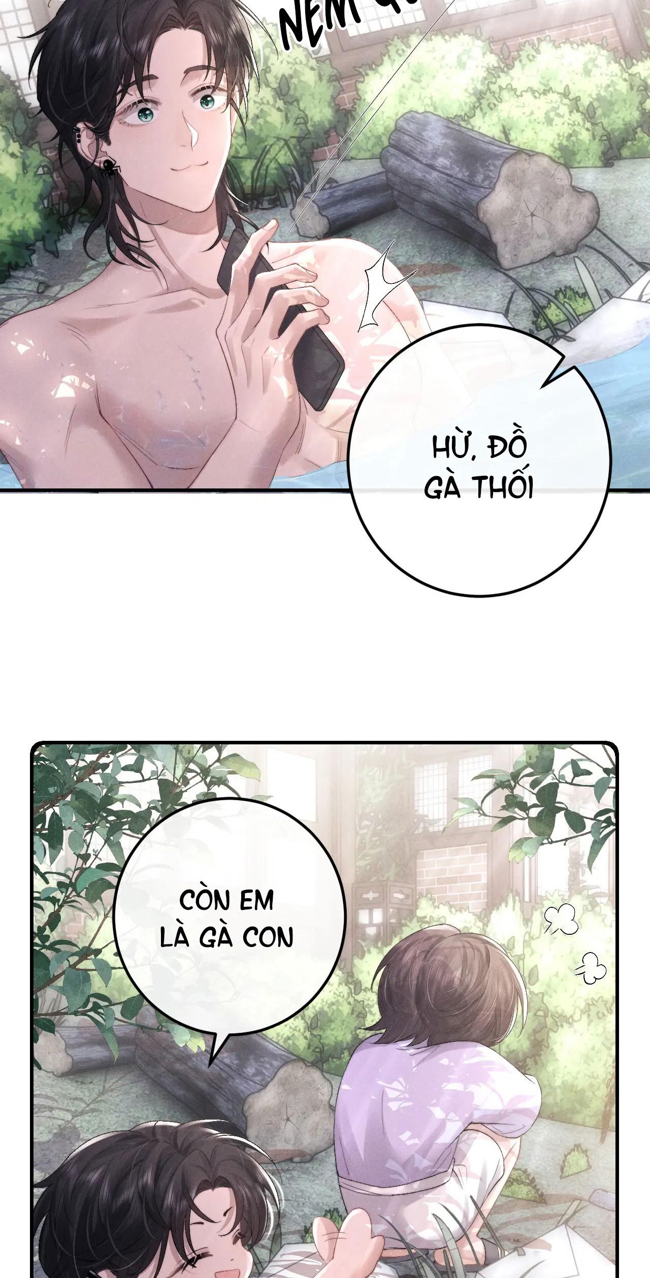 chấp sự thỏ tai cụp chapter 40 28