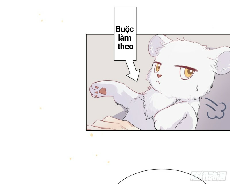 công lược của mami chapter 2 16