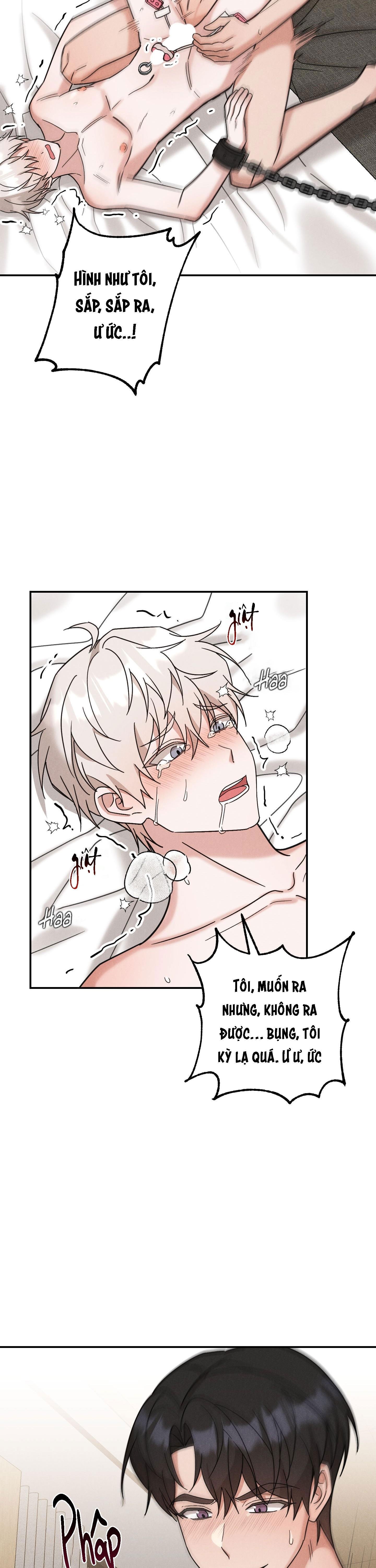 tuyển tập cuồng công - chiếm hữu công của nhà kim chapter 44.7 6
