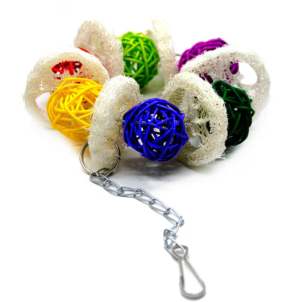 Bird Toy Conure Foraging Hanging Toy for Small Medium Parrots  Type 1
