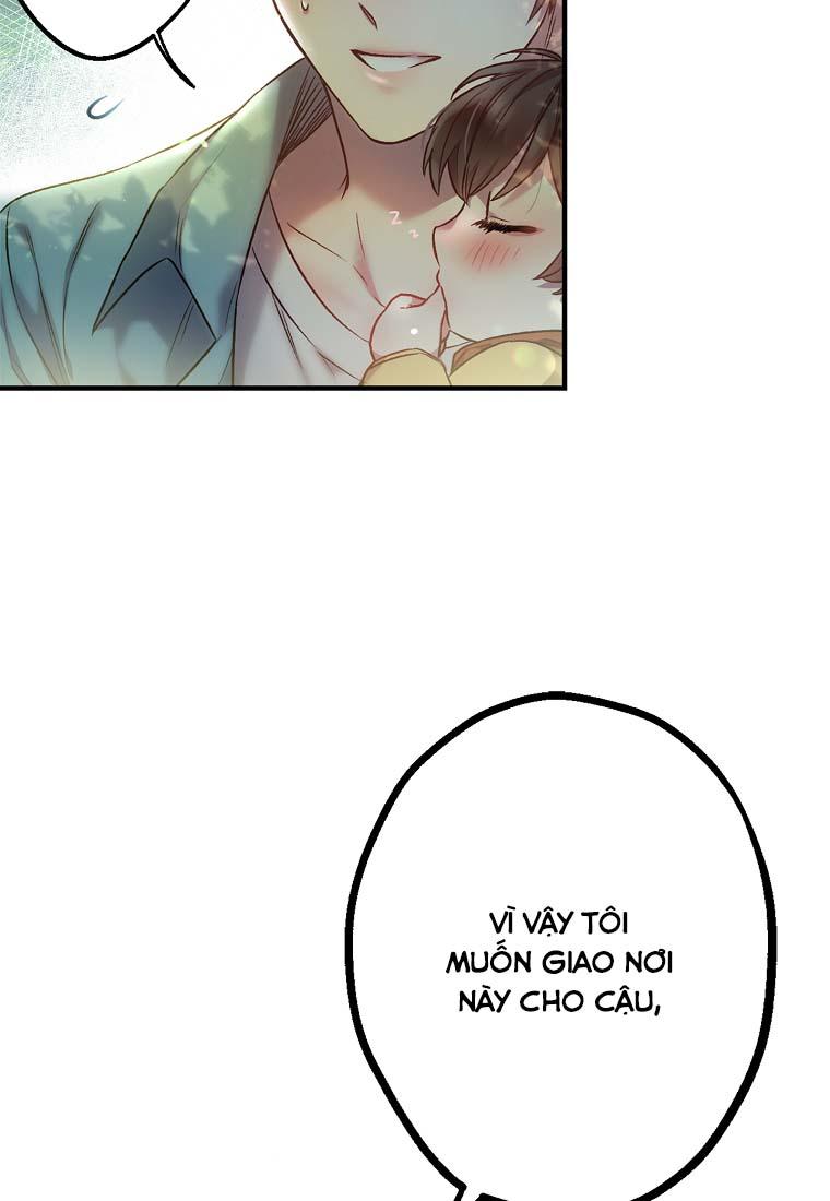 cơn mưa mật ngọt chapter 3 65