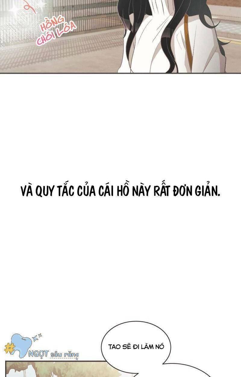 giấc mộng đêm hè chapter 1.1 27