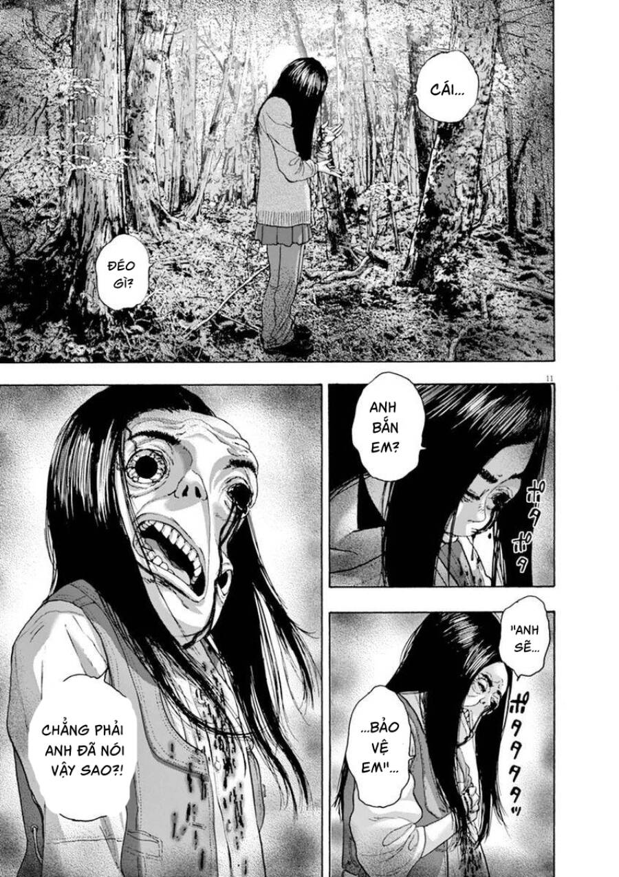 tôi là người hùng chapter 247 8