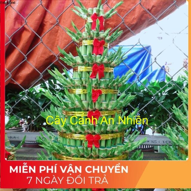 Trúc Phát Tài 9 Tầng Kèm Đĩa