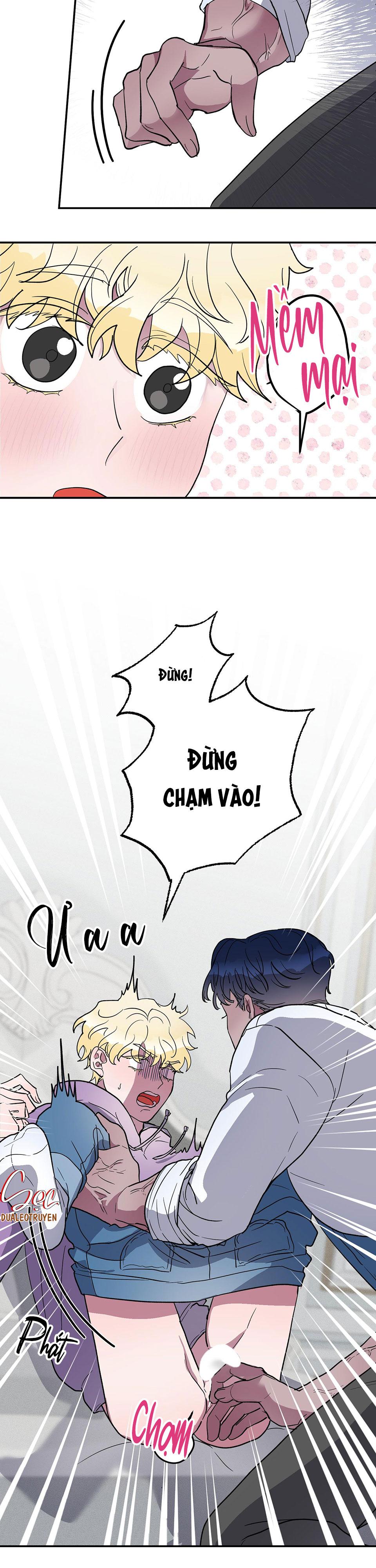 cá mập và cô dâu thỏ chapter 1 5