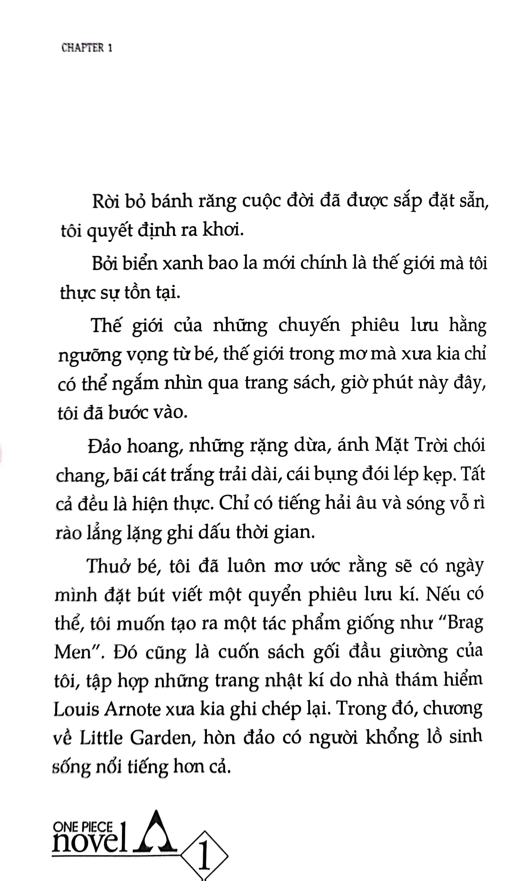 Tiểu Thuyết One Piece - Chuyện Về Ace - Tập 1 - Băng Hải Tặc Spade Ra Đời