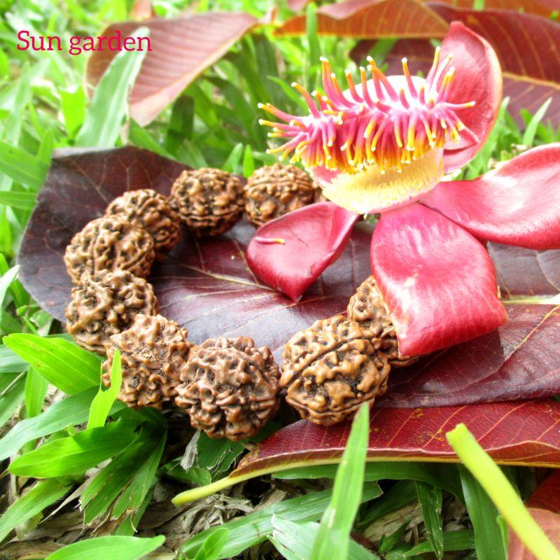 Vòng chuỗi bồ đề kim cang 20mm