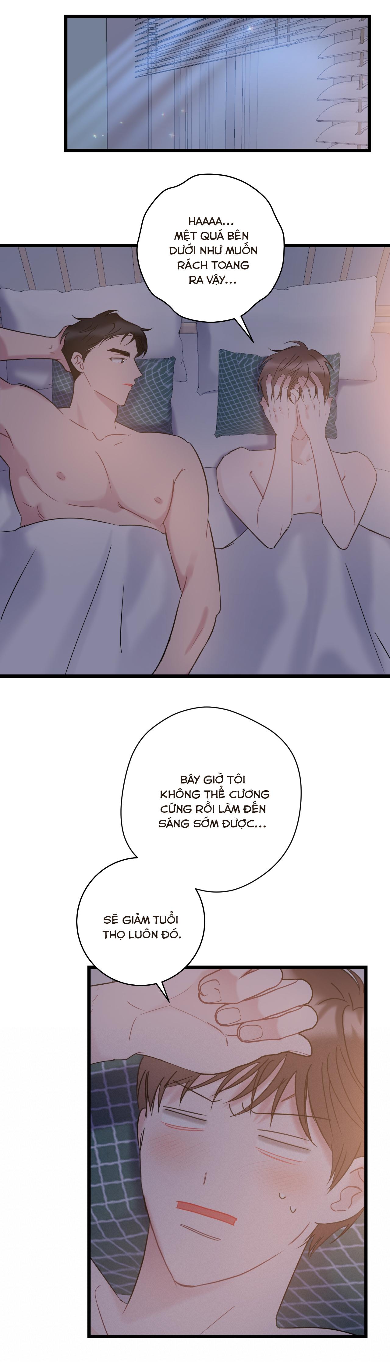 tình yêu bình dị nhất chapter 14 12