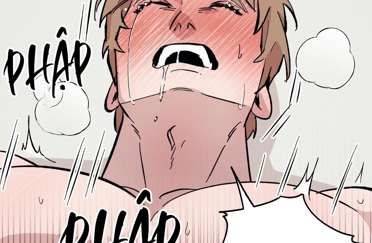 chàng dâu nhà họ kang chapter 46 113