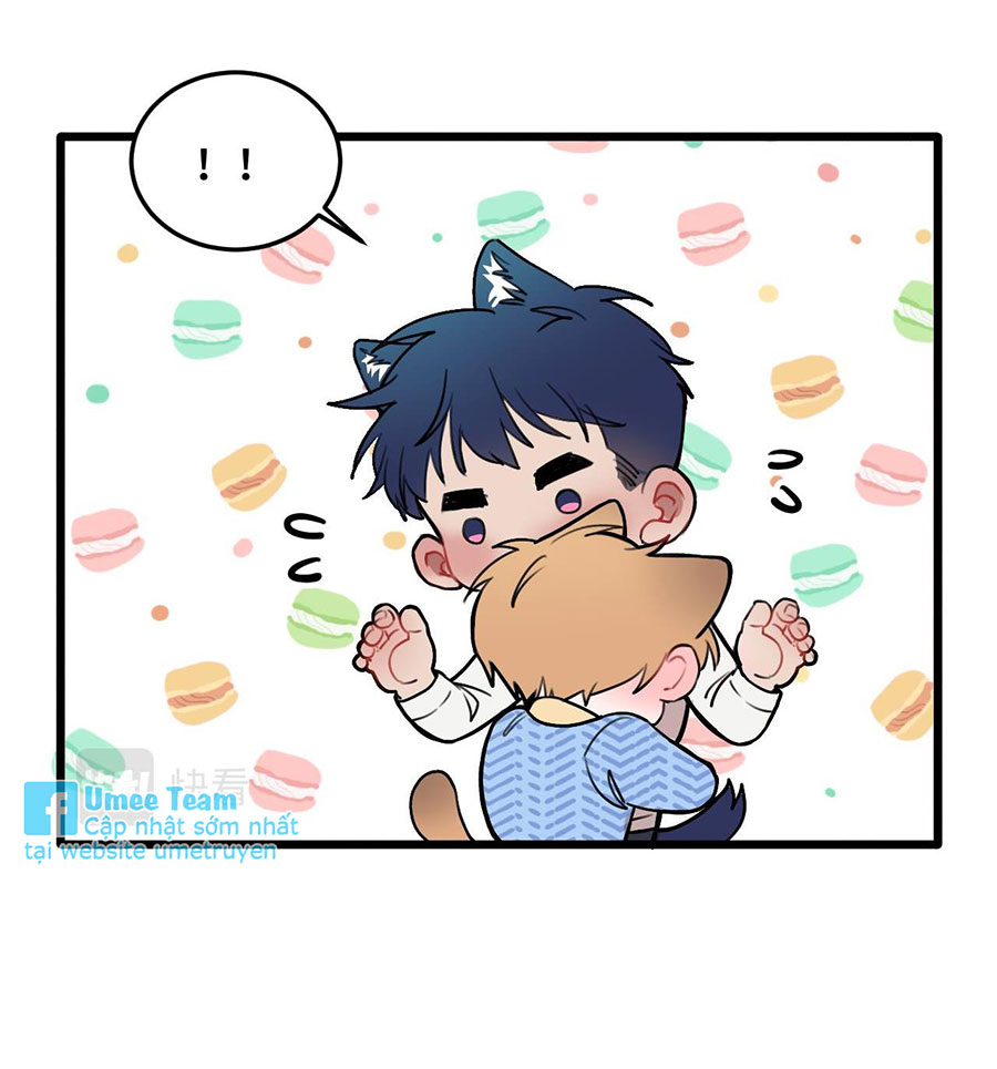 rốt cuộc bé mèo đang nghĩ gì ? chapter 12 14