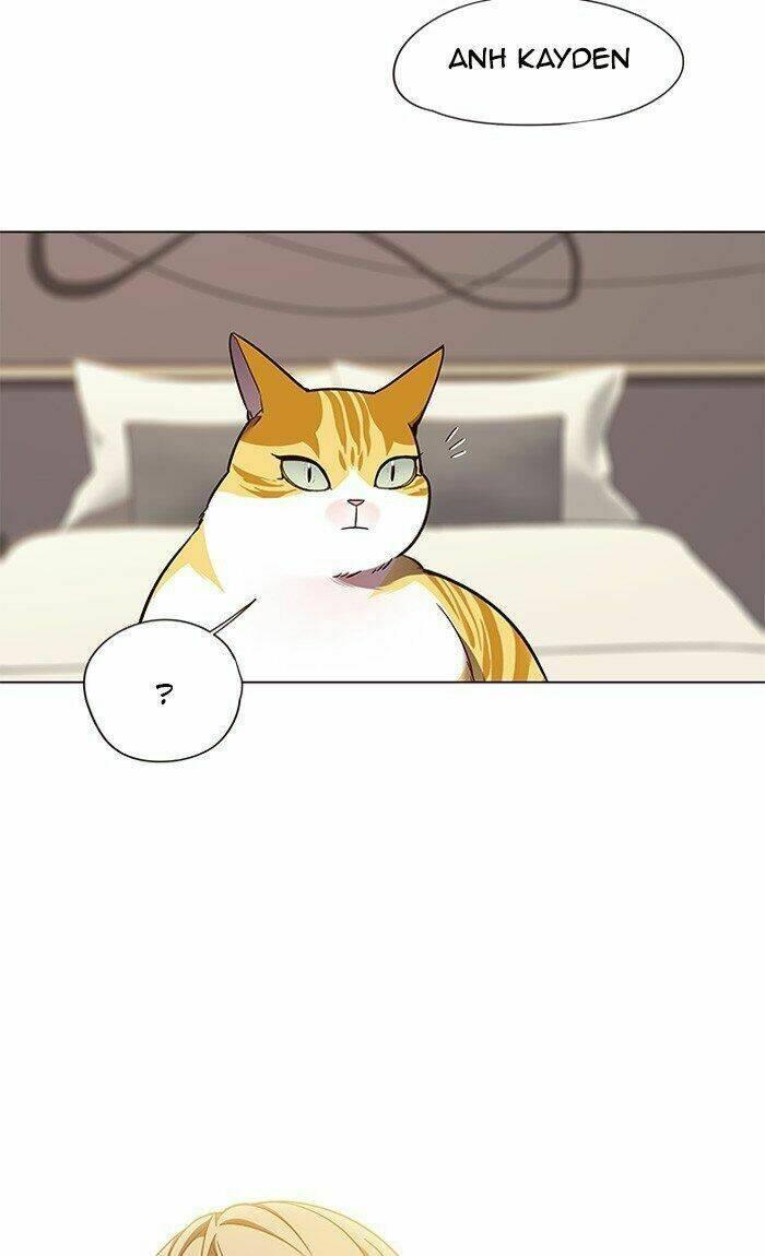 biến thân thành mèo chapter 82 70