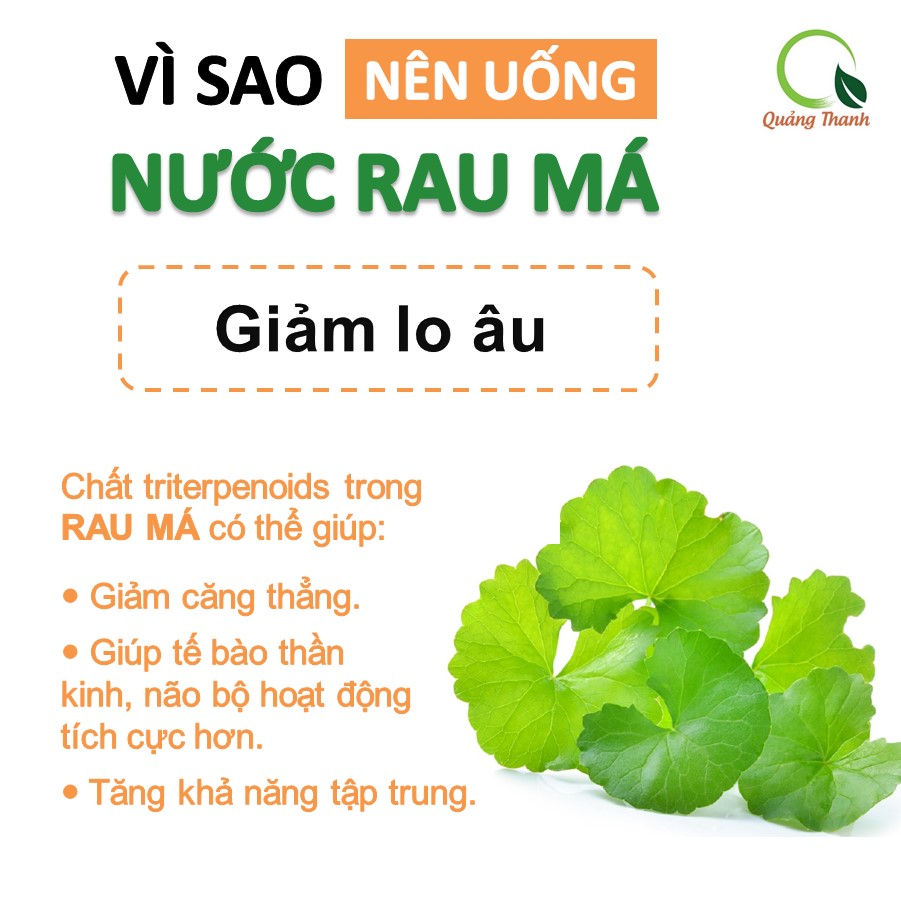 Bột rau má sấy lạnh Quảng Thanh, bịch 50gr - Giải độc, mát gan, thanh nhiệt cơ thể, giảm mụn, đẹp da