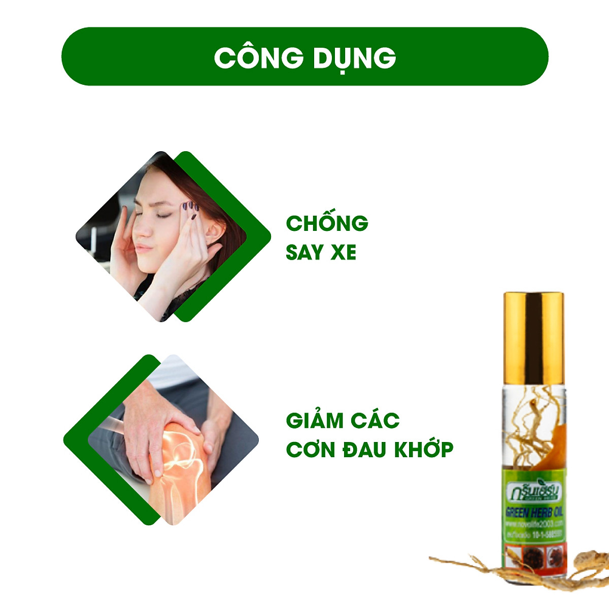 Bộ 12 Chai Dầu Lăn Thảo Dược Nhân Sâm Green Herb Oil Thái Lan 8ml