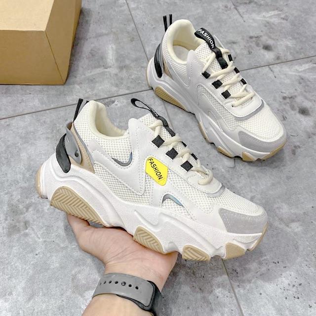 Giày thể thao nam, giày sneakers nam độn đế Fashion ZL05