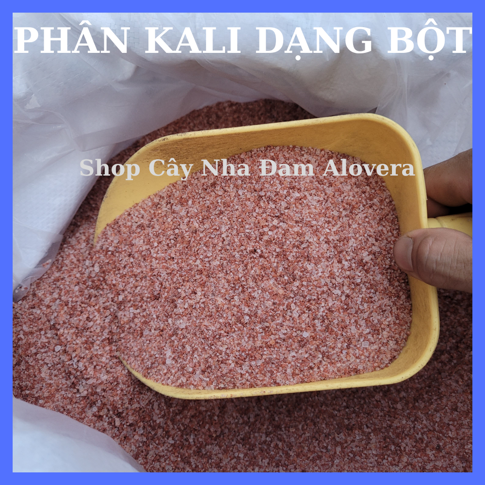 Phân KaLi Chuyên Kích Thích Siêu Ra Hoa Đậu Trái,Cứng Cây, Ngọt Quả, Dạng Bột Và Hạt