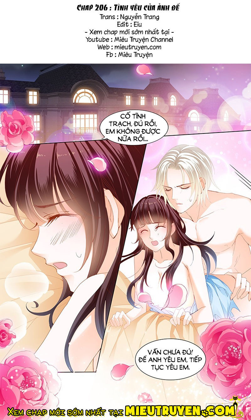 lóe thiểm hôn kiều thê mơ tưởng trốn chapter 206 2