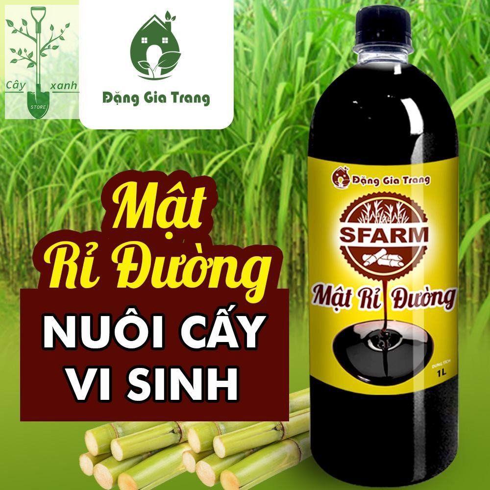 Mật Rỉ Đường Ủ Dịch Chuối, Phân Hữu Cơ, Nuôi Cấy Vi Sinh Sfarm